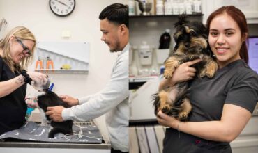 Art and Science of Kennel Training Dogs