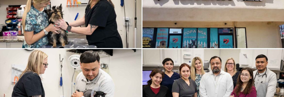 Best Animal Hospital for Your Pet’s Health