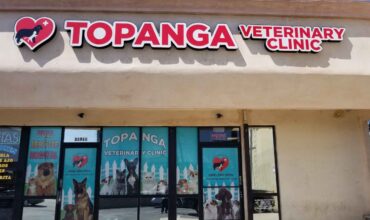 Walk-In Vet Clinic in Winnetka Ave, LA | Pet Health Care