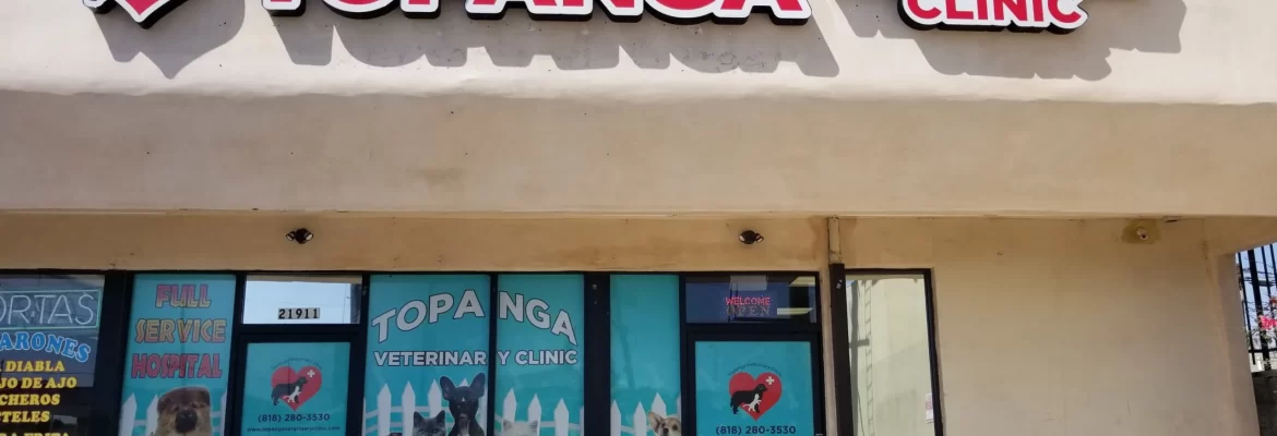 veterinary clinic in Los Angeles